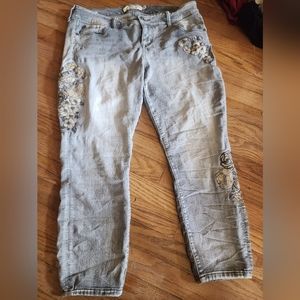 Torrid Jeans